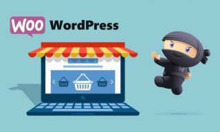 WordPress付费资源虚拟商城主题应该怎么选? - Haitheme嗨主题