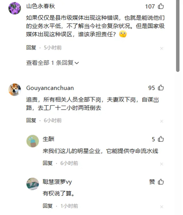 太子集团崩塌内幕!陈志背后的“犯罪帝国”是如何练成的?的配图2 - Haitheme嗨主题