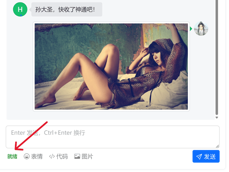 WordPress嗨达主题的 WebSocket 实时聊天功能服务端配置教程的配图 - Haitheme嗨主题