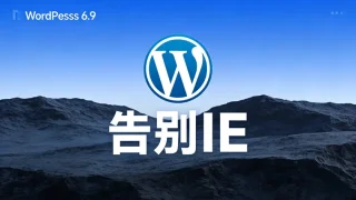 WordPress 6.9 全面清理遗留代码，彻底告别Internet Explorer，轻装奔向现代 Web - Haitheme嗨主题
